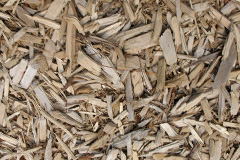 biomass boilers Rhyd Y Sarn